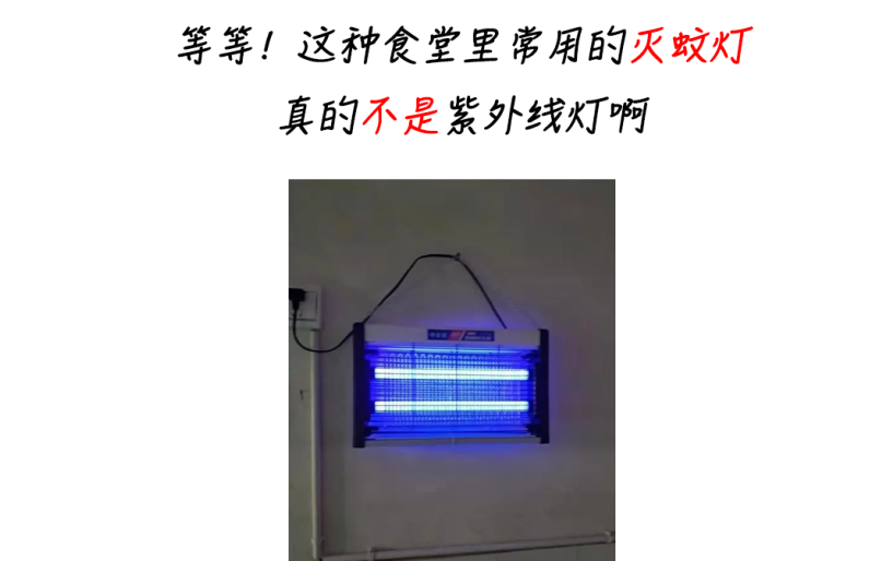 µç×ÓÌåÎÂ¼Æ µç×ÓÌåμÆ