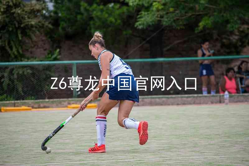Z6尊龙中国官网入口